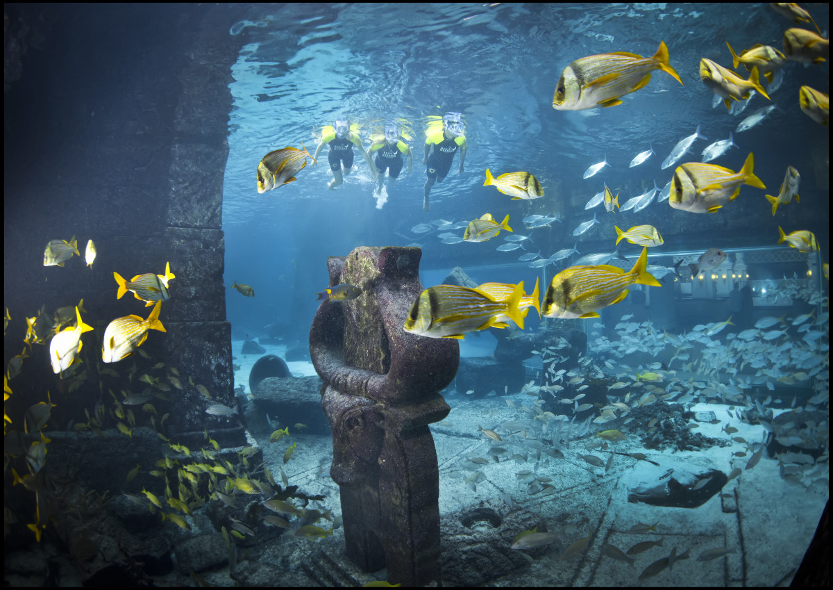 D81_2420 - GALLERY.jpg